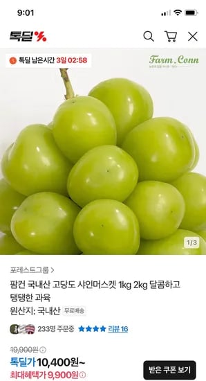 국내산 고당도 샤인머스켓 1kg 2수