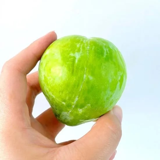 켈시자두 1kg