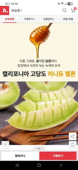 당도보장 꿀달콤 허니듀메론 3.6kg 2수 스 비씨카