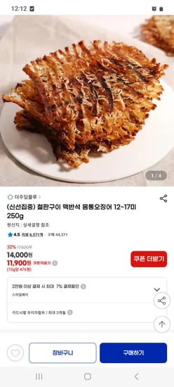 몸통오징어 12~17미