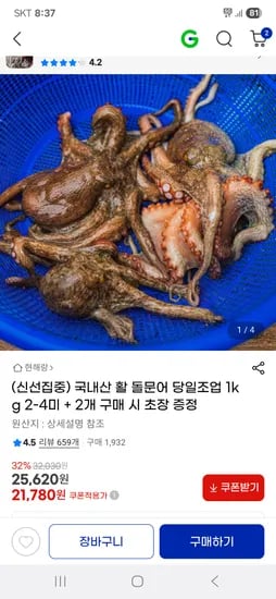 신선집중 국내산 당일조업 1kg 2-4미
