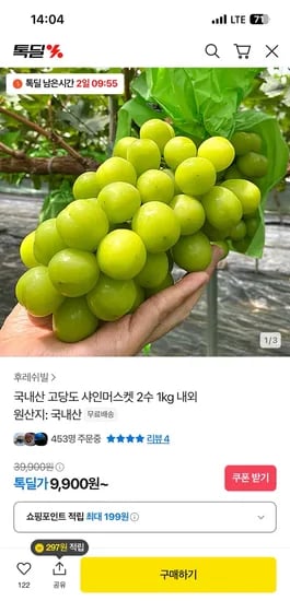 샤인머스켓 가정용 1kg 2수
