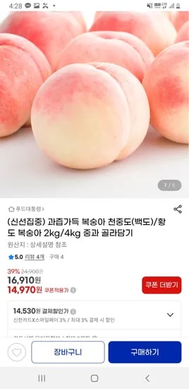 과즙가득 복숭아 천중도 백도 황도 2kg 4kg 중과
