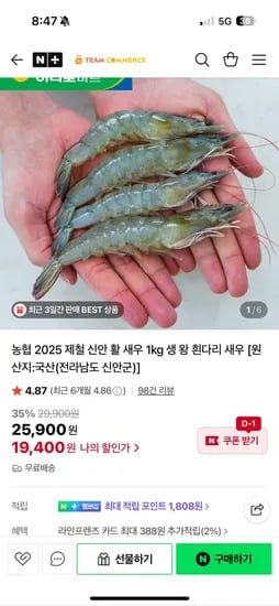 팀커머스 농협 25년 신안 활 새우 1kg