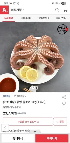 통영 자연산 돌문어 1kg 1~4미