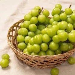 고당도 샤인머스켓 1kg 1-2수