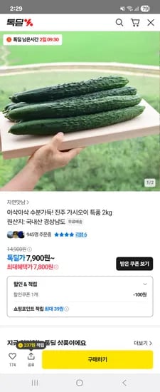 국산 가시오이 특품 2kg
