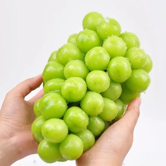 국내산 고당도 샤인머스켓 1kg (2수)