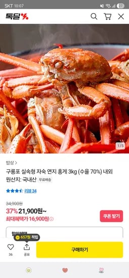 카카오 구룡포 실속형 자숙 연지 홍게 3kg