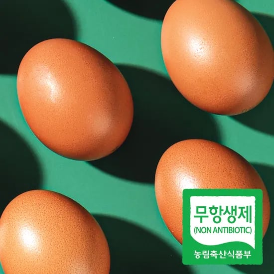 무항생제 구운계란 맥반석계란 60구