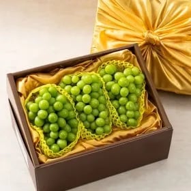 샤인머스켓 과일선물세트 특품 2.3kg 3수 감사장 카드