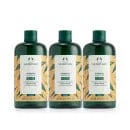더바디샵 진저샴푸 400ml 3개