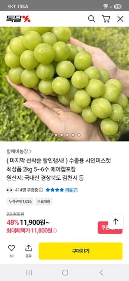 샤인머스켓 2kg (5~6수)