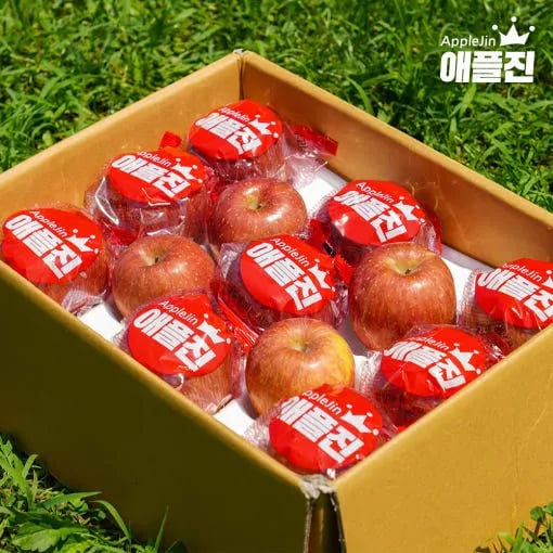 애플진 세척사과 2kg (9~13과)
