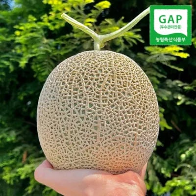 탑마루 머스크 멜론 3.2kg