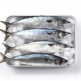 국내산 자반 고등어 10미 총 2.3kg