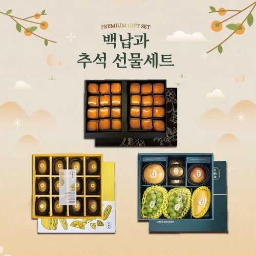 비타민연구소 청도 반건시 15입