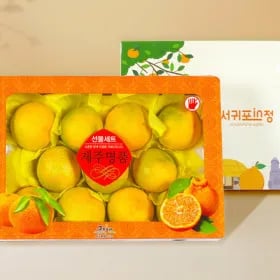 제주 황금향 로얄과 선물세트 2.5kg 7-12과