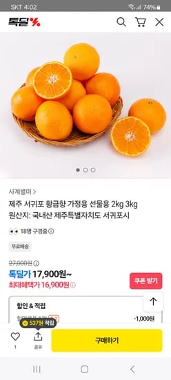 제주 못난이 황금향 4.5kg