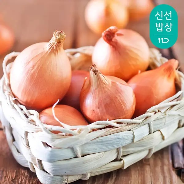 국내산 양파 (중) 5kg