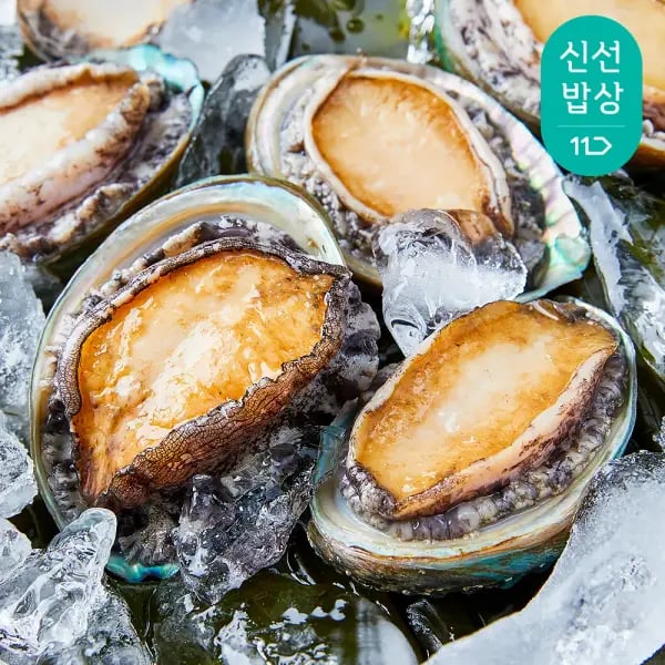 완도 최상급 활 참전복 특대 1kg 10-11미