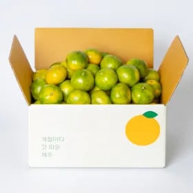 제주 타이벡노지감귤 3kg