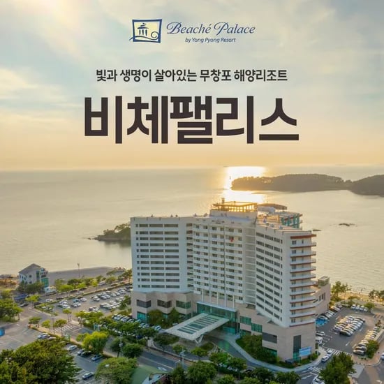 보령 비체팰리스 룸온리