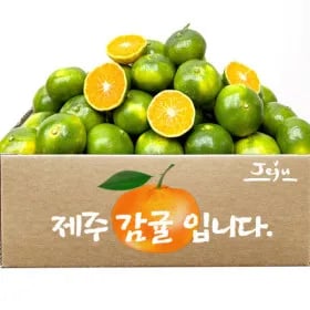극조생 노지햇감귤 4.5kg