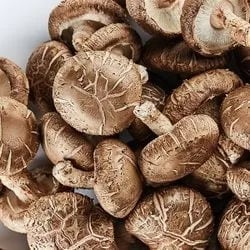 무안 GAP인증 무농약 생표고버섯 못난이 1kg