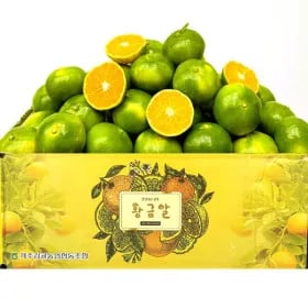 제주 노지 감귤 로얄과 4.5kg