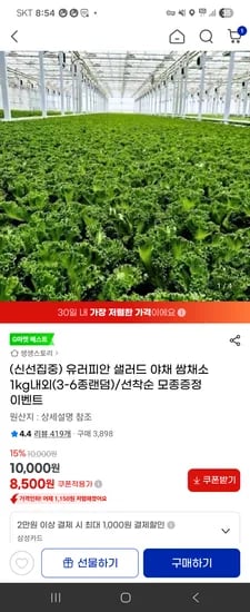 샐러드 채소 1kg