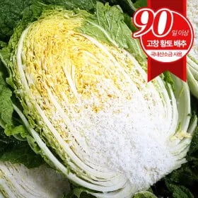 푸르젠 국내산 절임배추 20kg 7~9포기