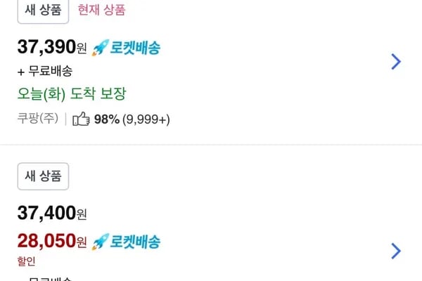 꽃보다오징어 230 230