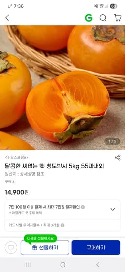 달콤한 씨없는 햇 청도반시 5kg 55과내외