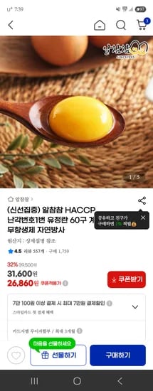 유정란 60구