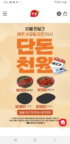 김치 10시오픈