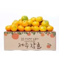 제주 햇 감귤 로열소과 4.5kg
