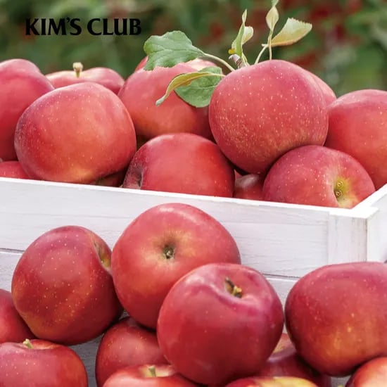 영주 가정용 사과 5kg
