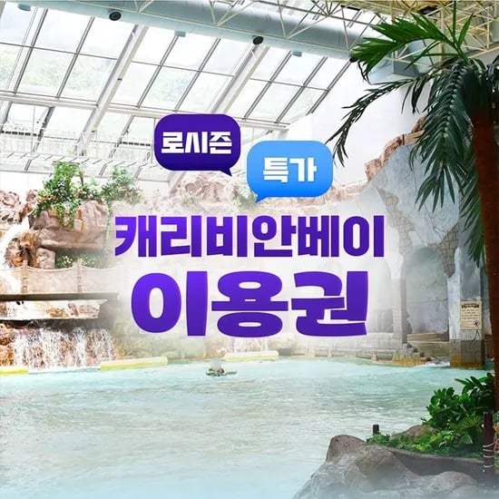 캐리비안베이 로시즌 이용권