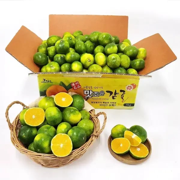 극조생 제주 감귤 2kg