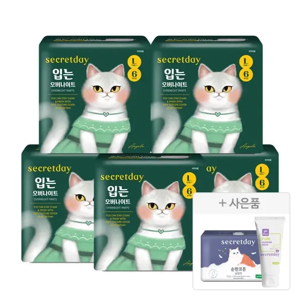 시크릿데이 입는 생리대 6p 5팩