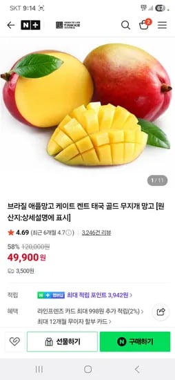 애플망고 4kg 8~9과 특대과