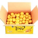 제주시농협 귤로장생 햇 노지감귤 9kg