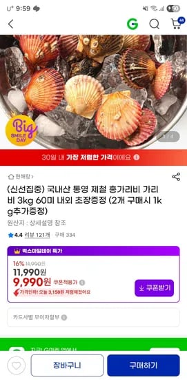 국내산 제철 통영 홍가리비 초장증정