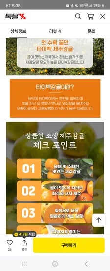타이벡 제주감귤 9kg