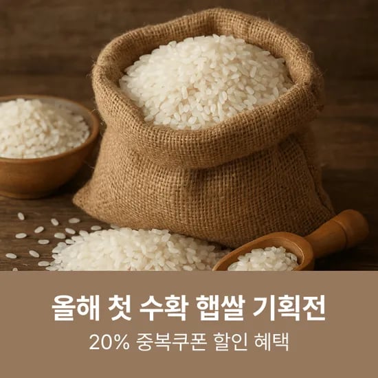 프리미엄 경기미 쌀 10kg 특등급
