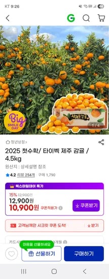 타이벡 제주 감귤 4.5kg