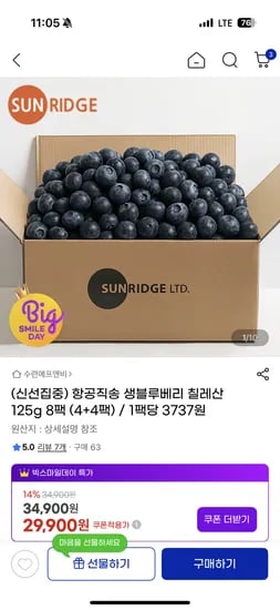 칠레산 생블루베리 125g 4+4팩