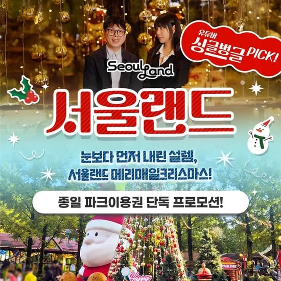 서울랜드 종일권