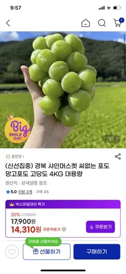 샤인머스켓 4kg